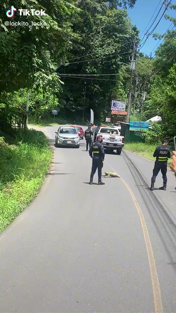 ナマケモノを優しく見守る警官w渡り終わるのはいつのことやらwww