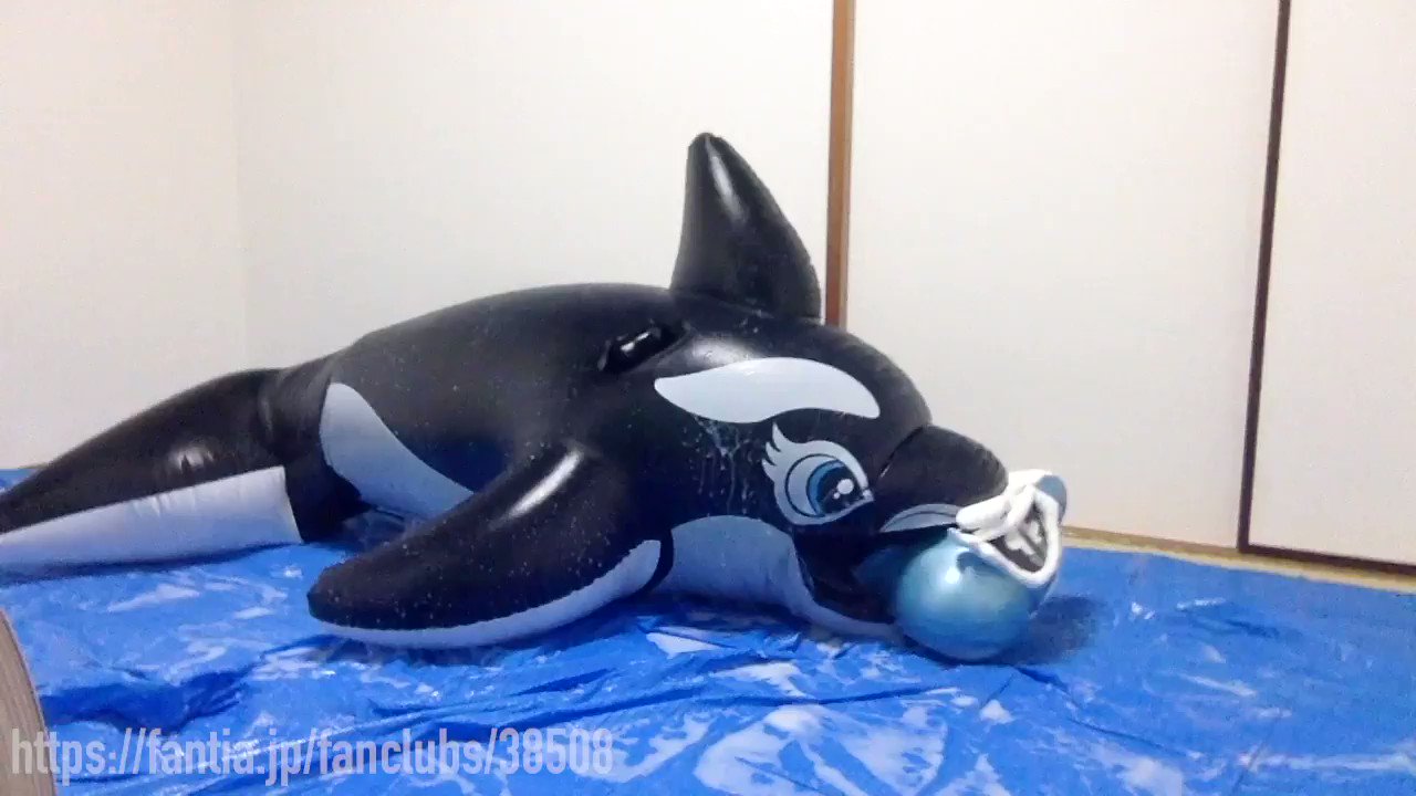 ダブルレイヤード シャチフロート 着ぐるみ コスプレ