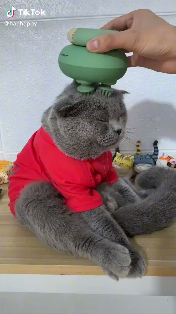 世界のハメ撮り | Twitter Video Tools