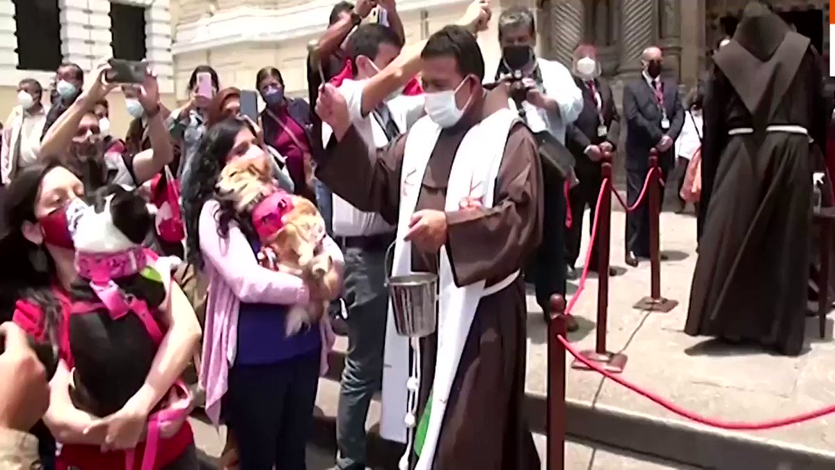 The Saint Francis Monastery in Lima, Peru, held its annual 'Blessing of the Animals' event https://t.co/kGkt5E4GGc