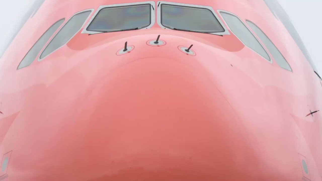 空飛ぶウミガメ 3号機 超大型機 成田に到着 Ana Twitter