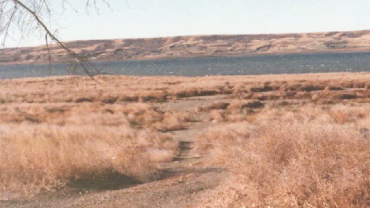 Attack of the Tumbleweeds!