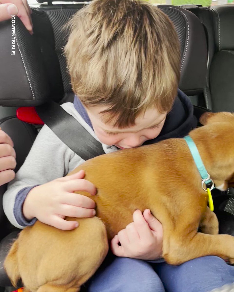 LADbible on Twitter "This little lad's reaction to finding out he has