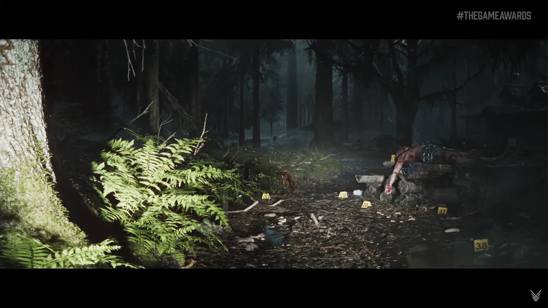 Does Alan Wake 2 have co-op? - Dexerto