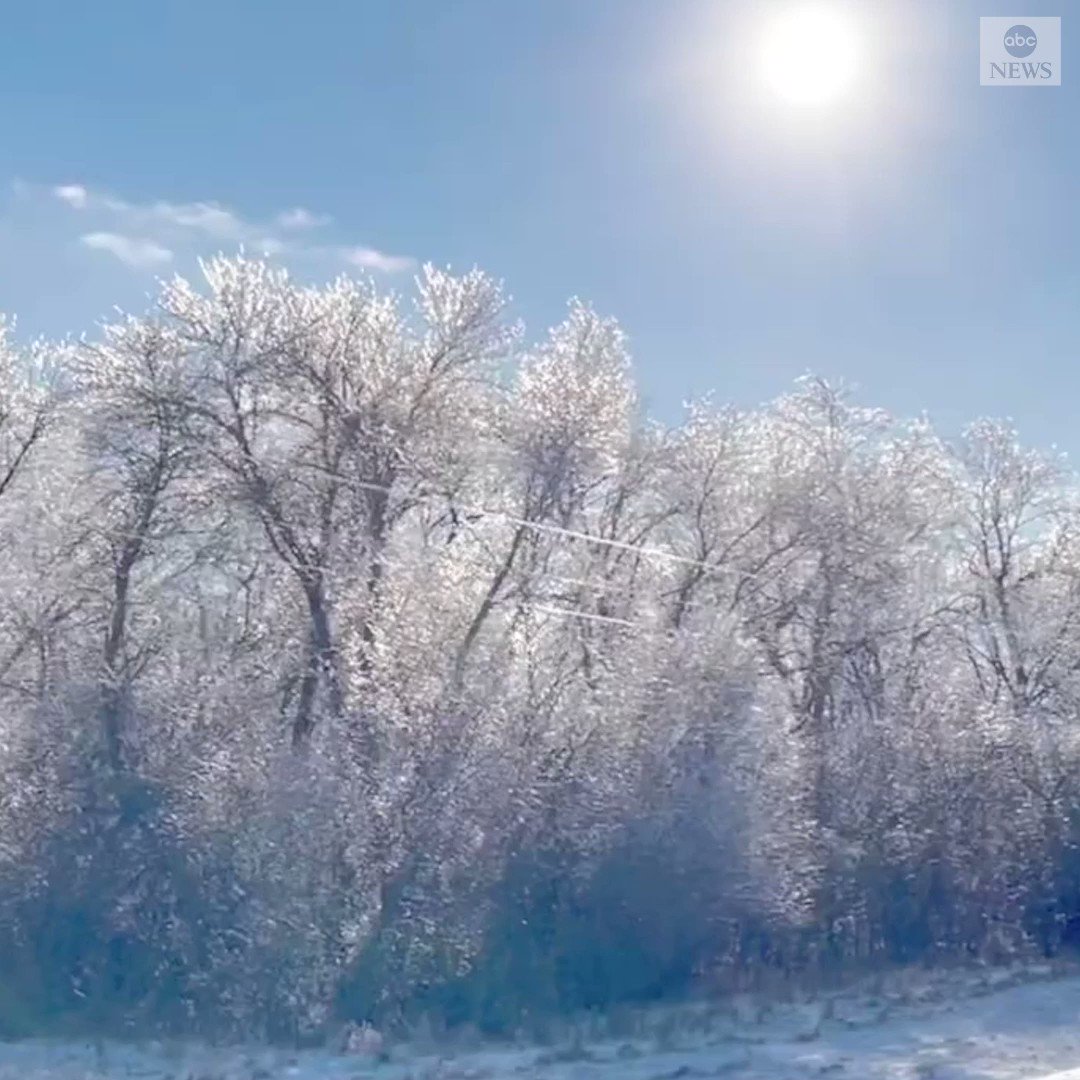 RT @ABC: Icy conditions created an idyllic winter scene along a Minnesota road. https://t.co/XBy0a5QKnE https://t.co/AXYIERaNGe