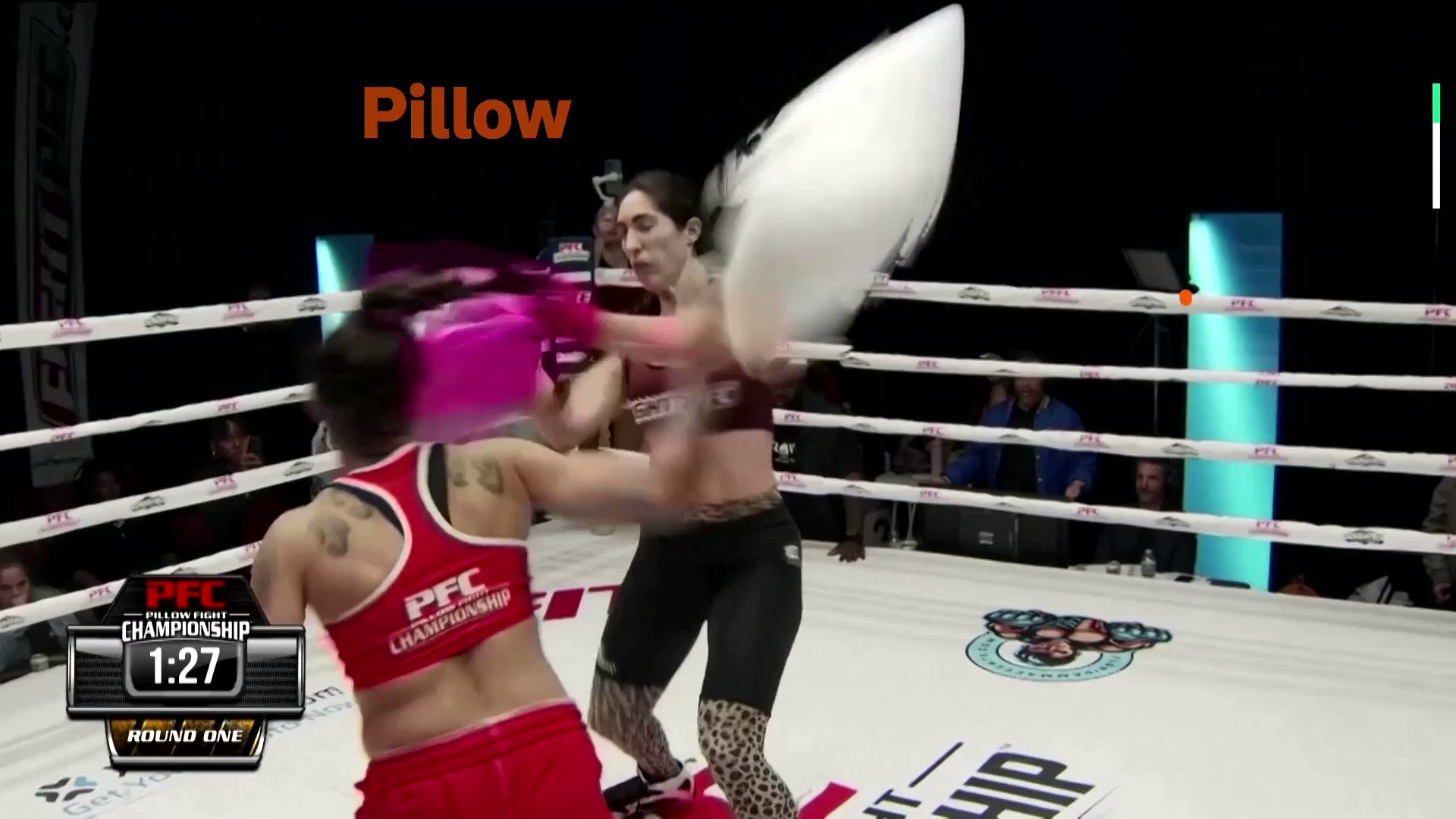 Reuters on Twitter "The Pillow Fighting Championship crowned its first