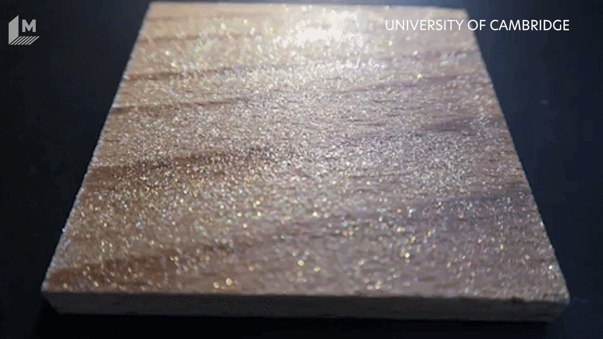 A New Biodegradable Glitter Is Here Thanks to Cambridge