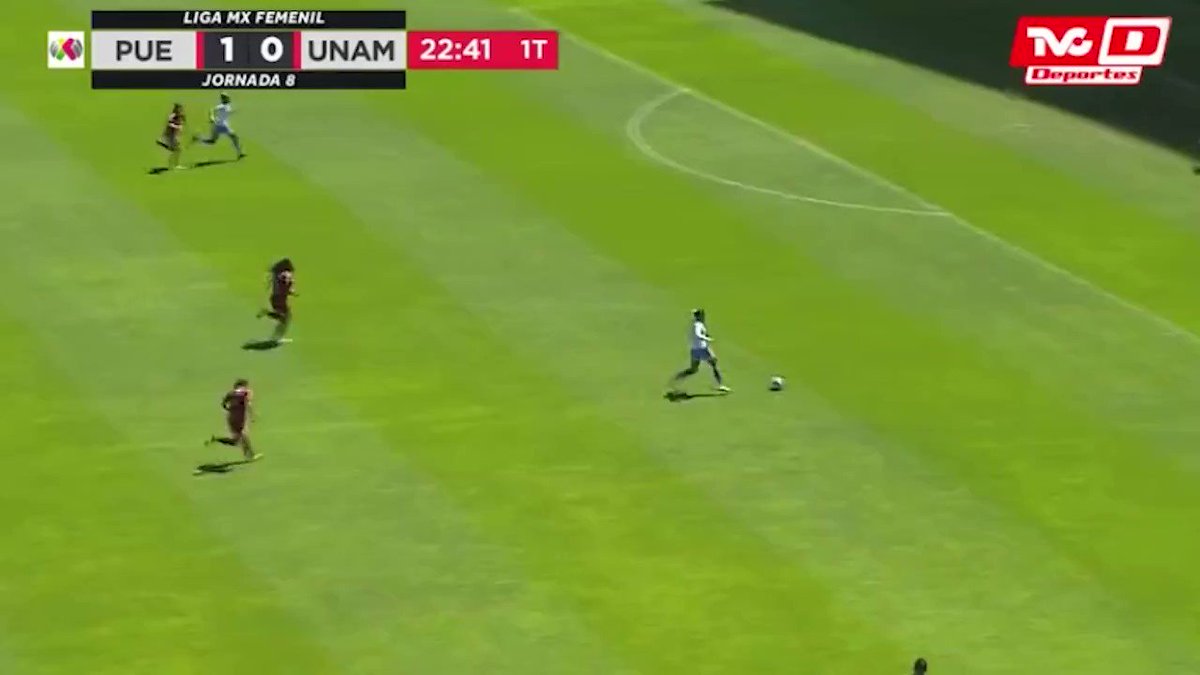 Puebla 2 - 0 Pumas