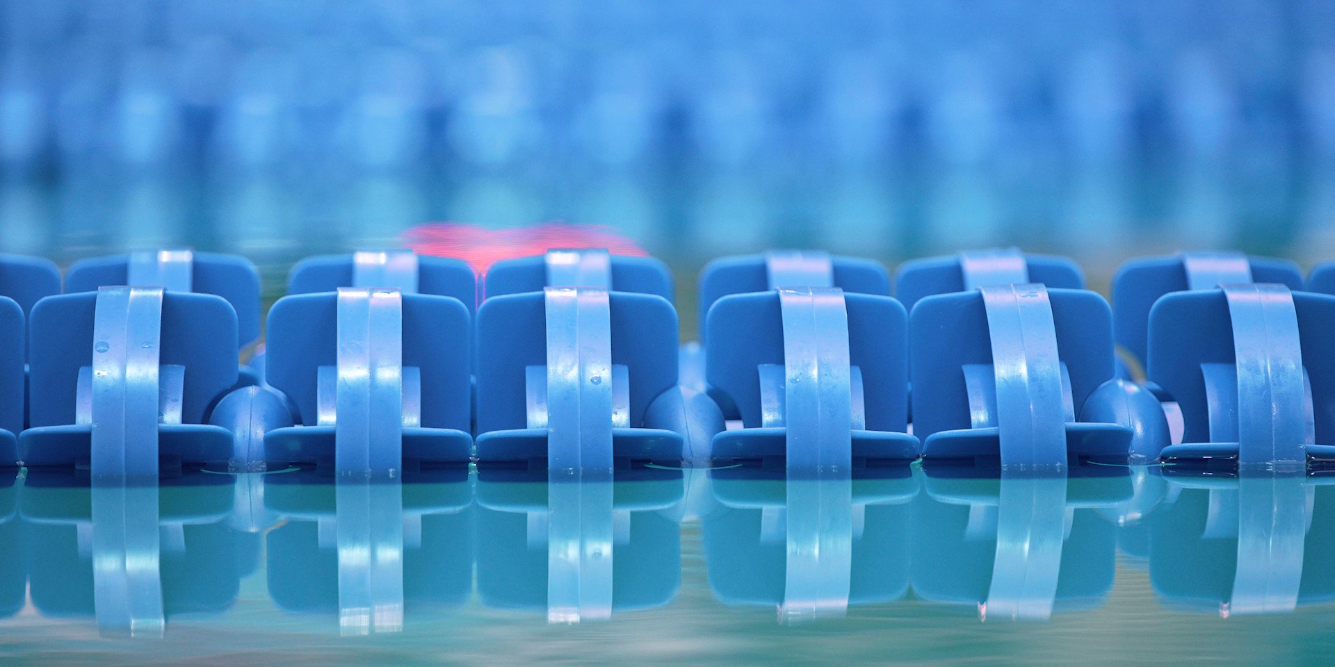 Texas Women's Swimming & Diving on Twitter "A night we'll never