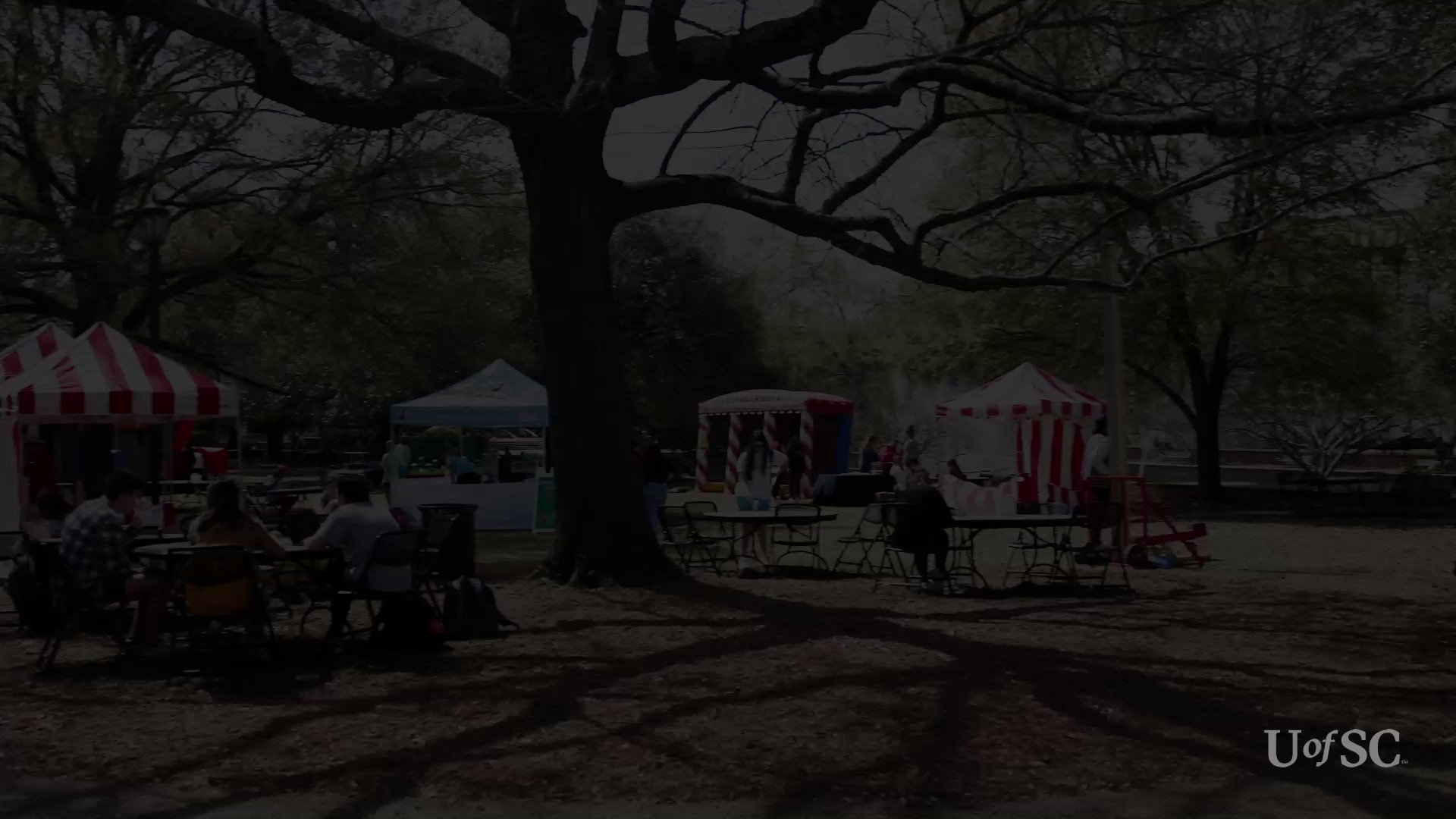 University of South Carolina on Twitter "Spring has officially sprung