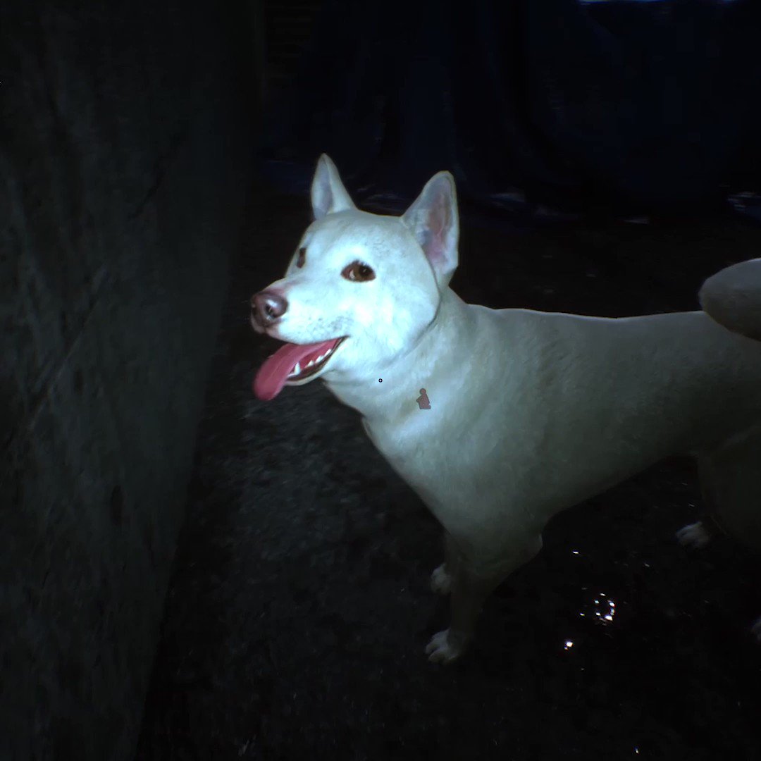 RT @PlayStation: O dog of the alleyway, what is your wisdom?

#GhostwireTokyo https://t.co/fiqVYK4FpH