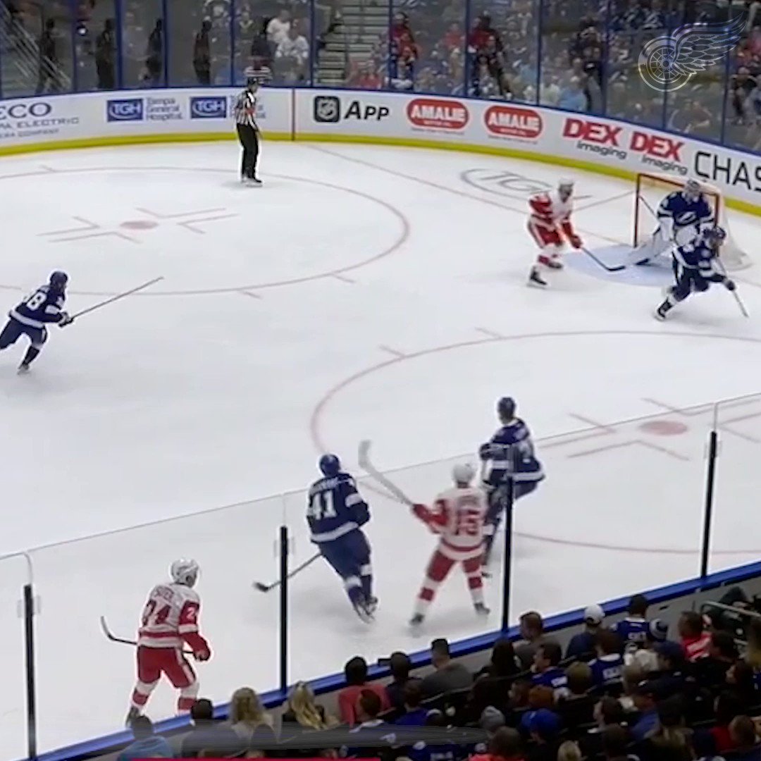 Red wings vs panthers prediction