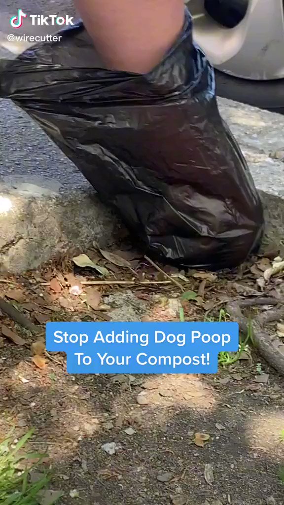Wirecutter on Twitter "Avoid these common composting mistakes ⬇️ https