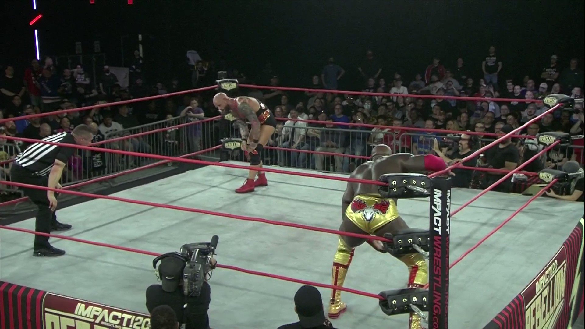 the sportster wwe quiz