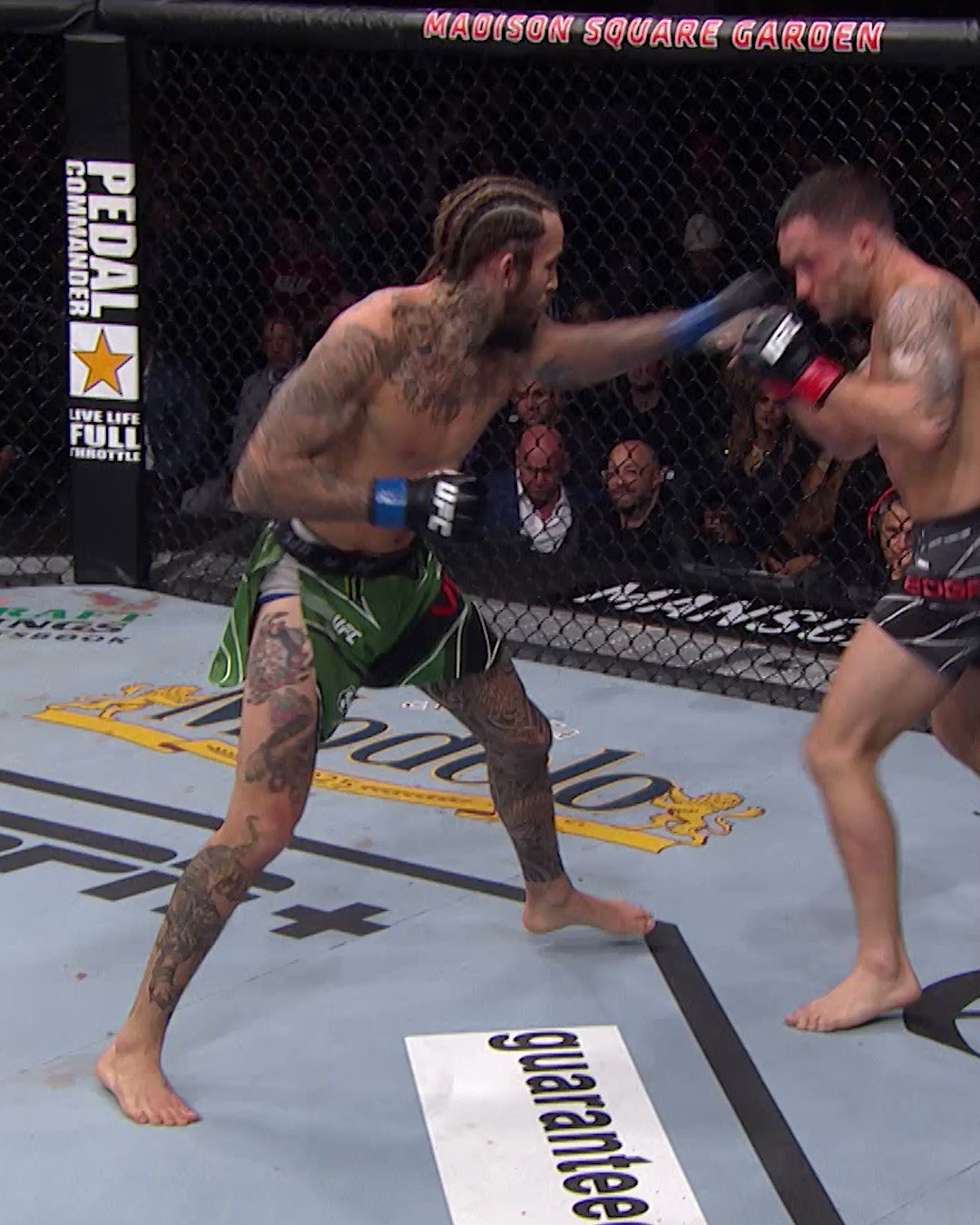 UFC on Twitter "The top 5 front kick KOs in UFC history 🦶 [ 