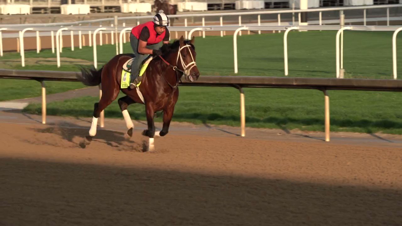 Kentucky Derby on Twitter "Ethereal Road is in the Top 20. KyDerby