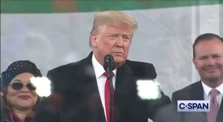 @bennyjohnson's photo on Trump