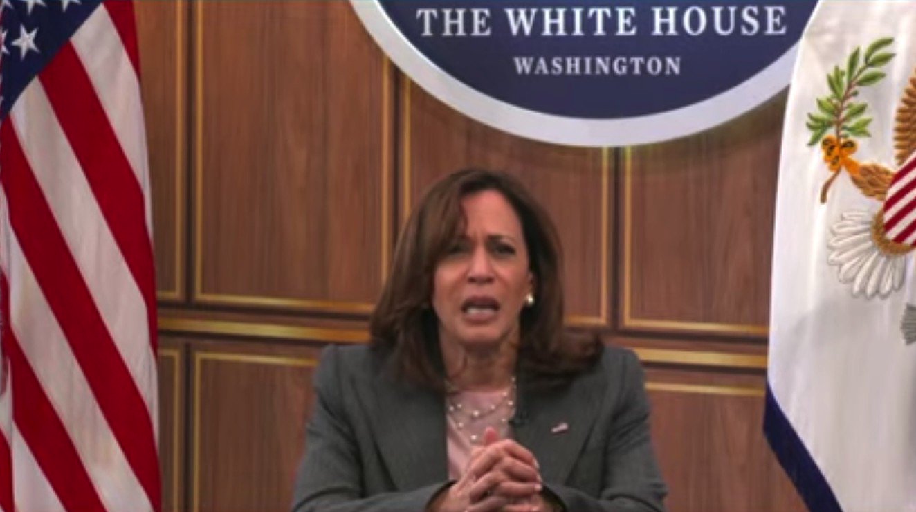 The Post Millennial on Twitter "Kamala on the possible overturning of