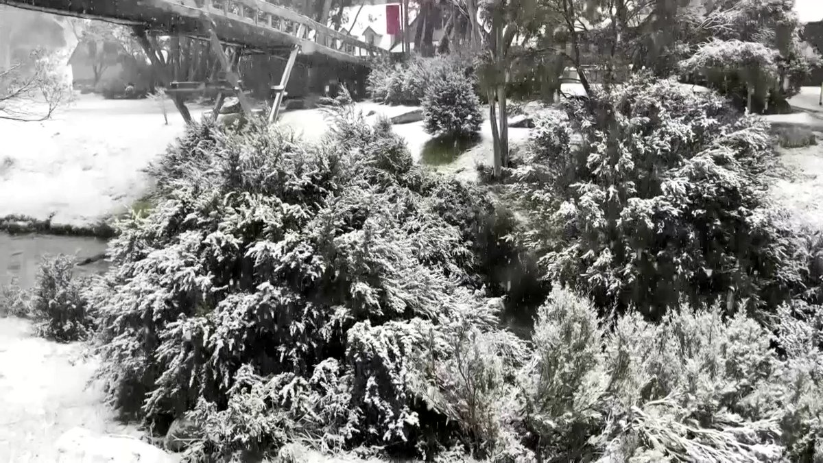 Reuters on Twitter "⏪ 2022 lookback Snowfall dusted parts of