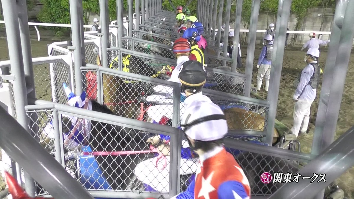 今年の面子なら、#スピーディキック が牝馬三冠イケるのでは？と思っていたが、結果は3着。トーセンガーネット、アクアリ―ヴル、ケラススヴィアに続いて、4年連続で南関二冠牝馬は好走まで。

#チャームアスリープ(南関牝馬三冠)は偉大な馬だったんだな、と改めて思う。
#関東オークス　#競馬 