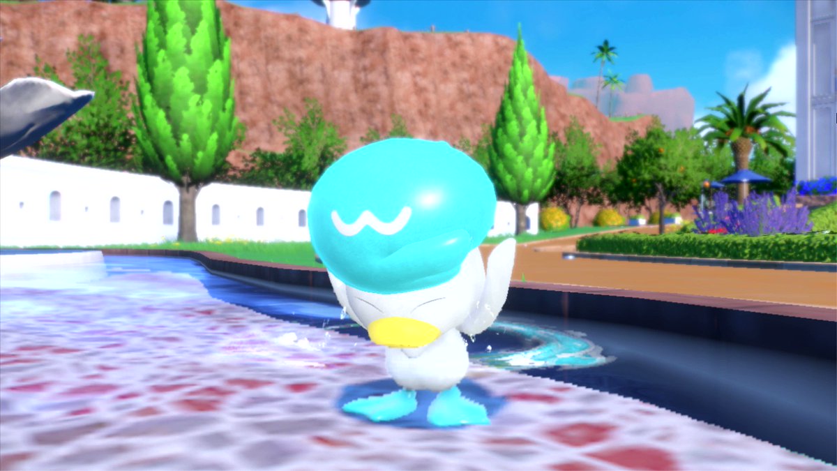 Quaxly is a Pokémon that seriously dislikes getting its head dirty