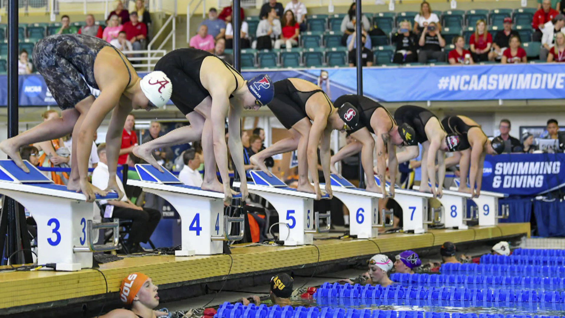 transgender-women-banned-from-elite-swimming-competitions-fina-rules