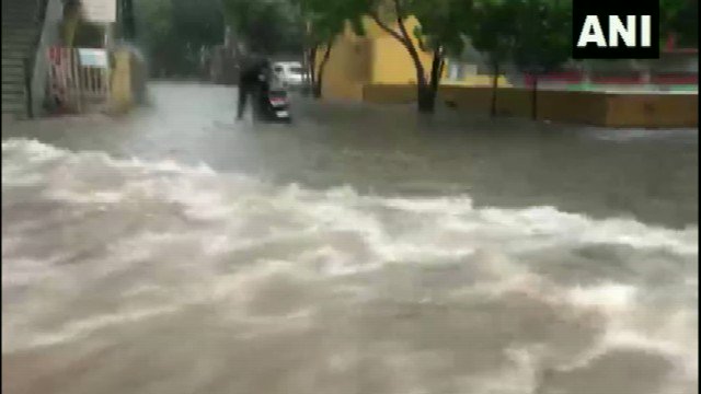 Monsoon Rains updates monsoon Maharashtra Gujarat Telangana Madhya Pradesh  red alert death toll floods waterlogging | India News – India TV