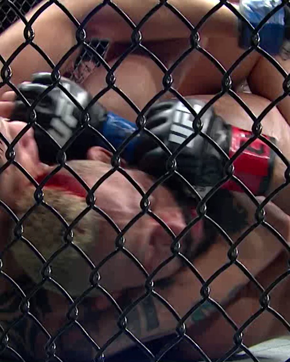 Derrick Lewis balls was hot