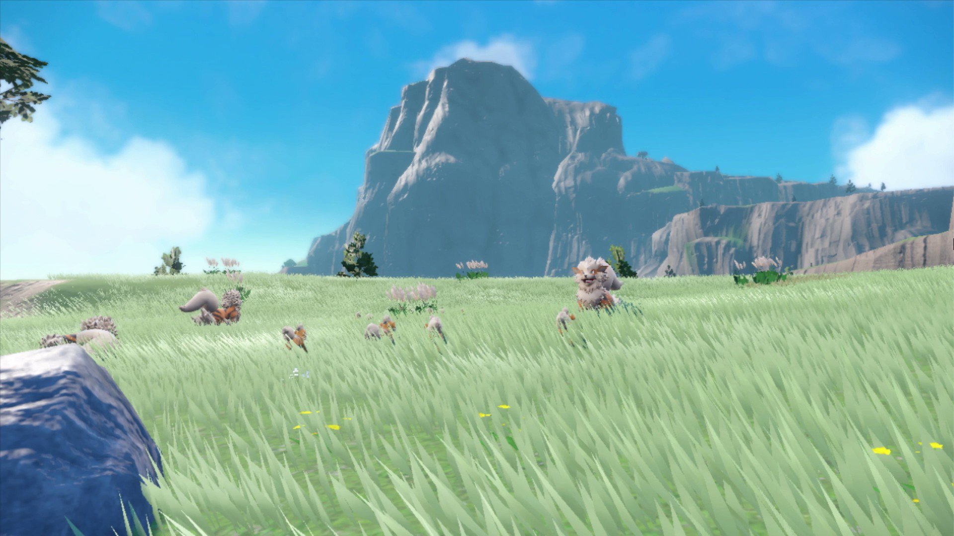ゲームフリーク公式 Gamefreak Info Twitter