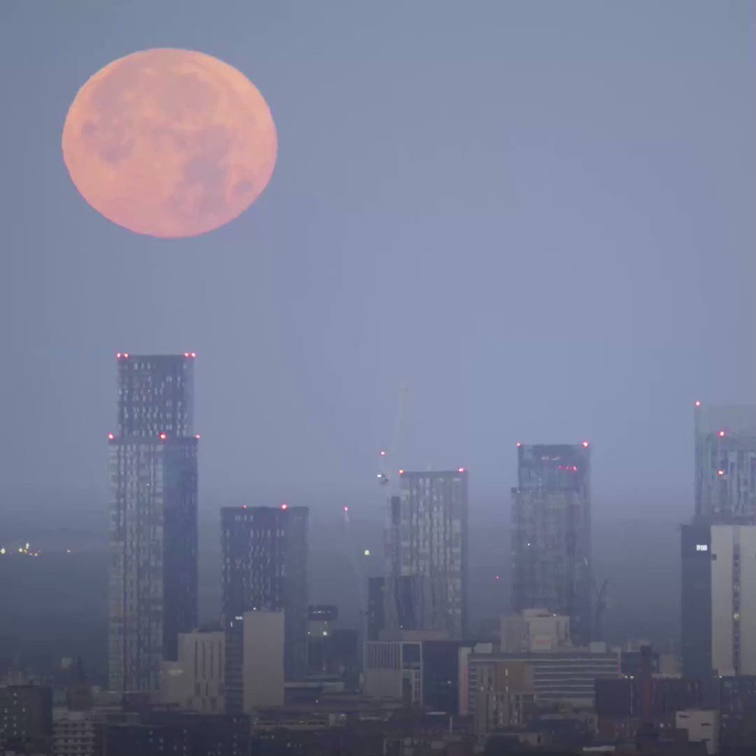The last supermoon of the year 'sturgeon moon' is here 🌕 / Twitter