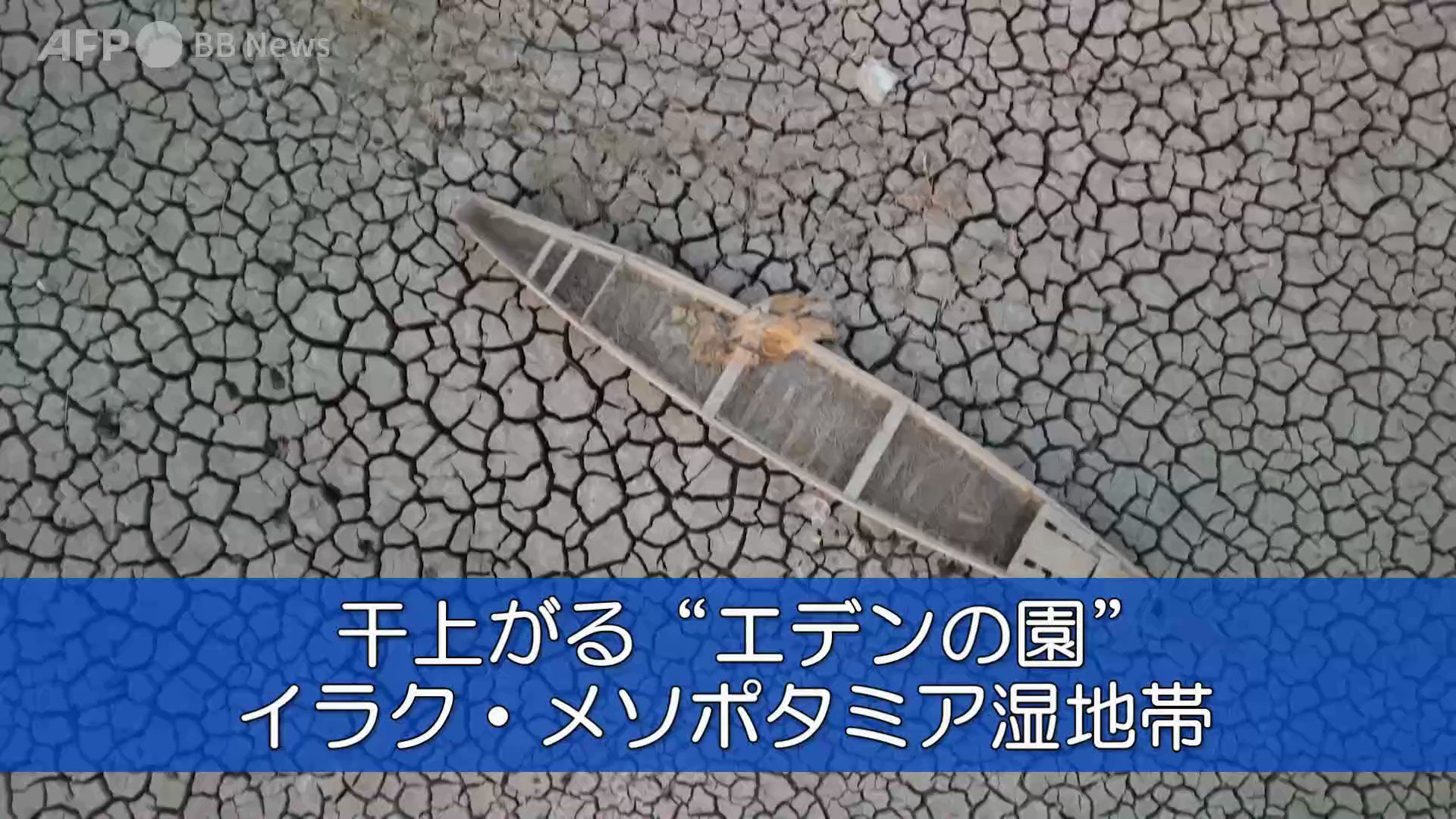 Afpbb News 干上がる エデンの園 イラク メソポタミア湿地帯 イラク南部のメソポタミア湿地帯は 旧約聖書の エデンの園 があったとされるが この肥沃 ひよく な土地が干上がっている 3年にわたる干ばつと少雨 河川の水量減少が原因だ 7月撮影