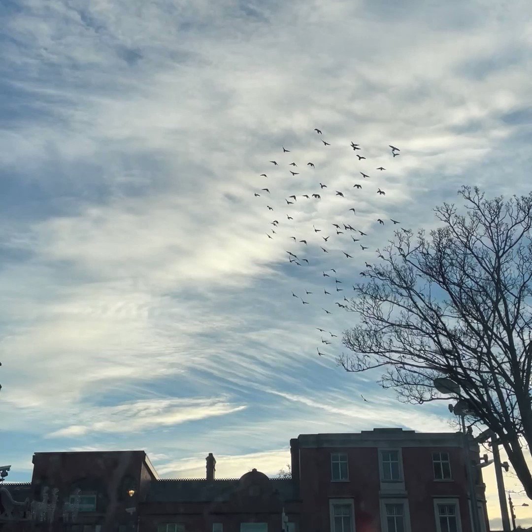 10年くらい前にダンレアリーのカレッジにセラピスト留学してて、住んでたので懐かしい〜😭 