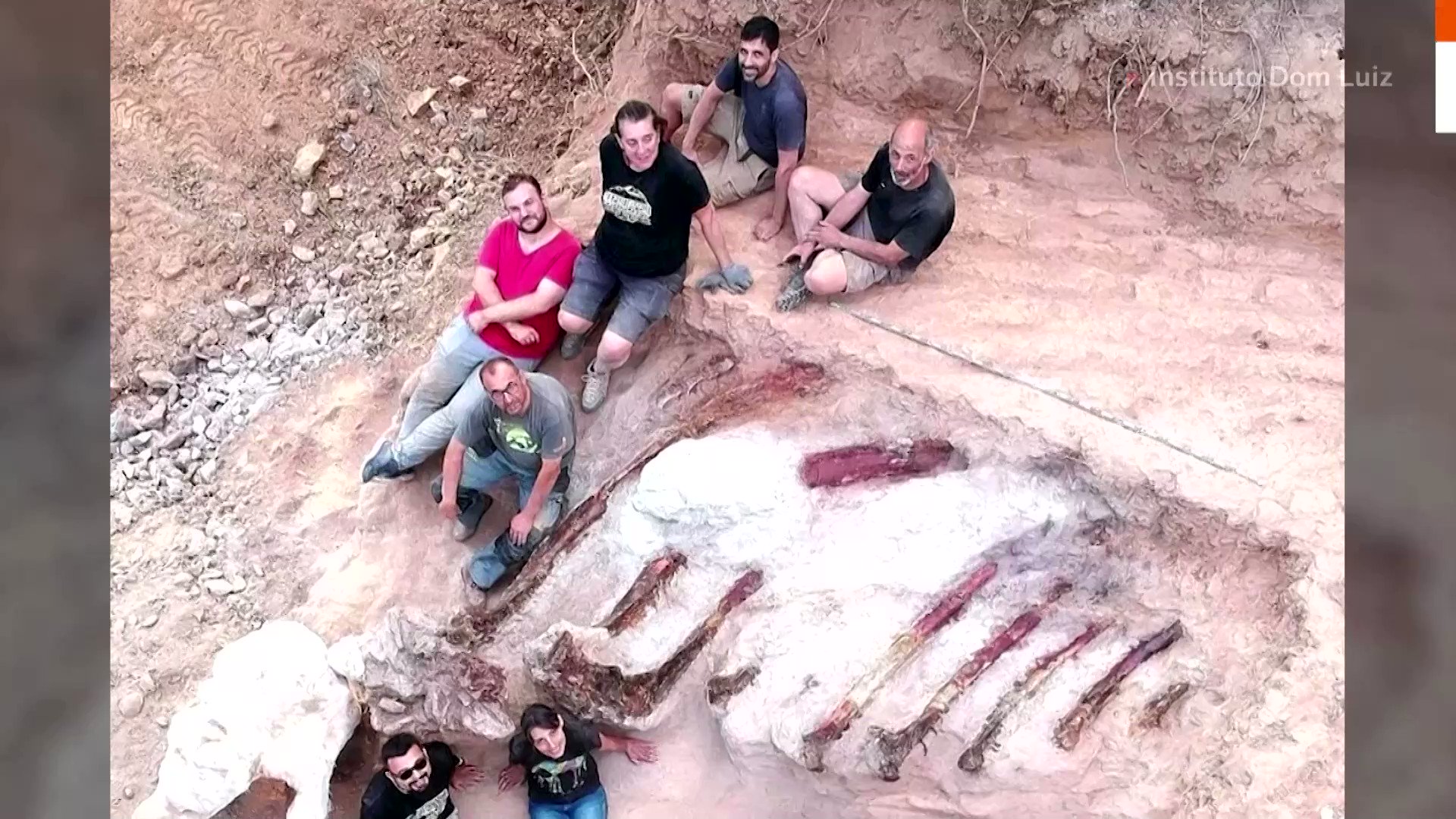 Reuters on Twitter "WATCH This discovery could be the largest dinosaur skeleton ever found in