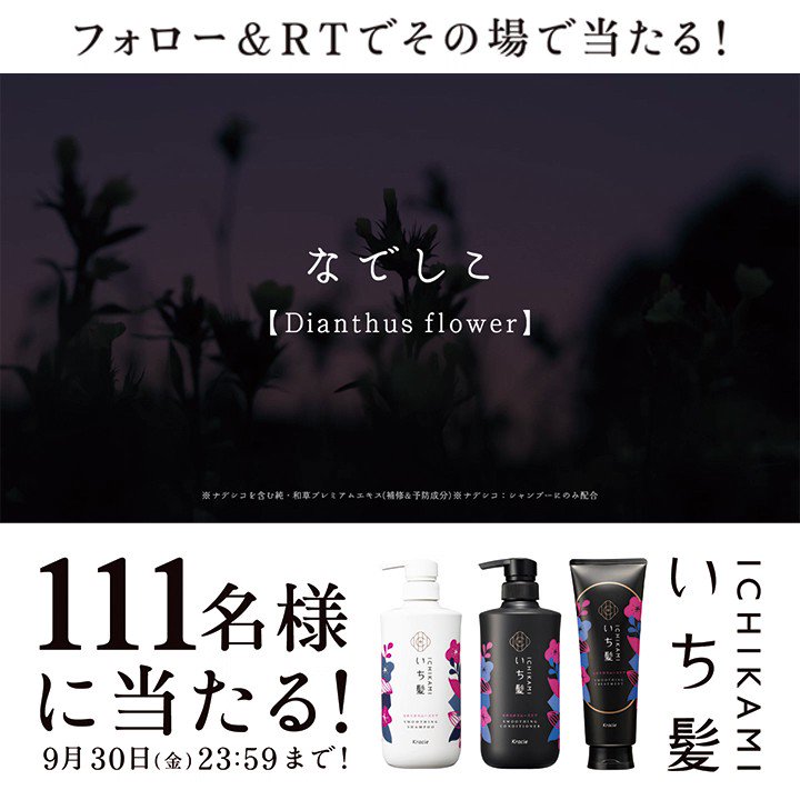 @Kracie_ichikami's video Tweet