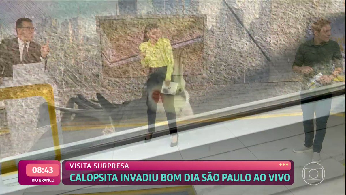 TV Globo 📺 on Twitter: TV Globo 📺 on Twitter: