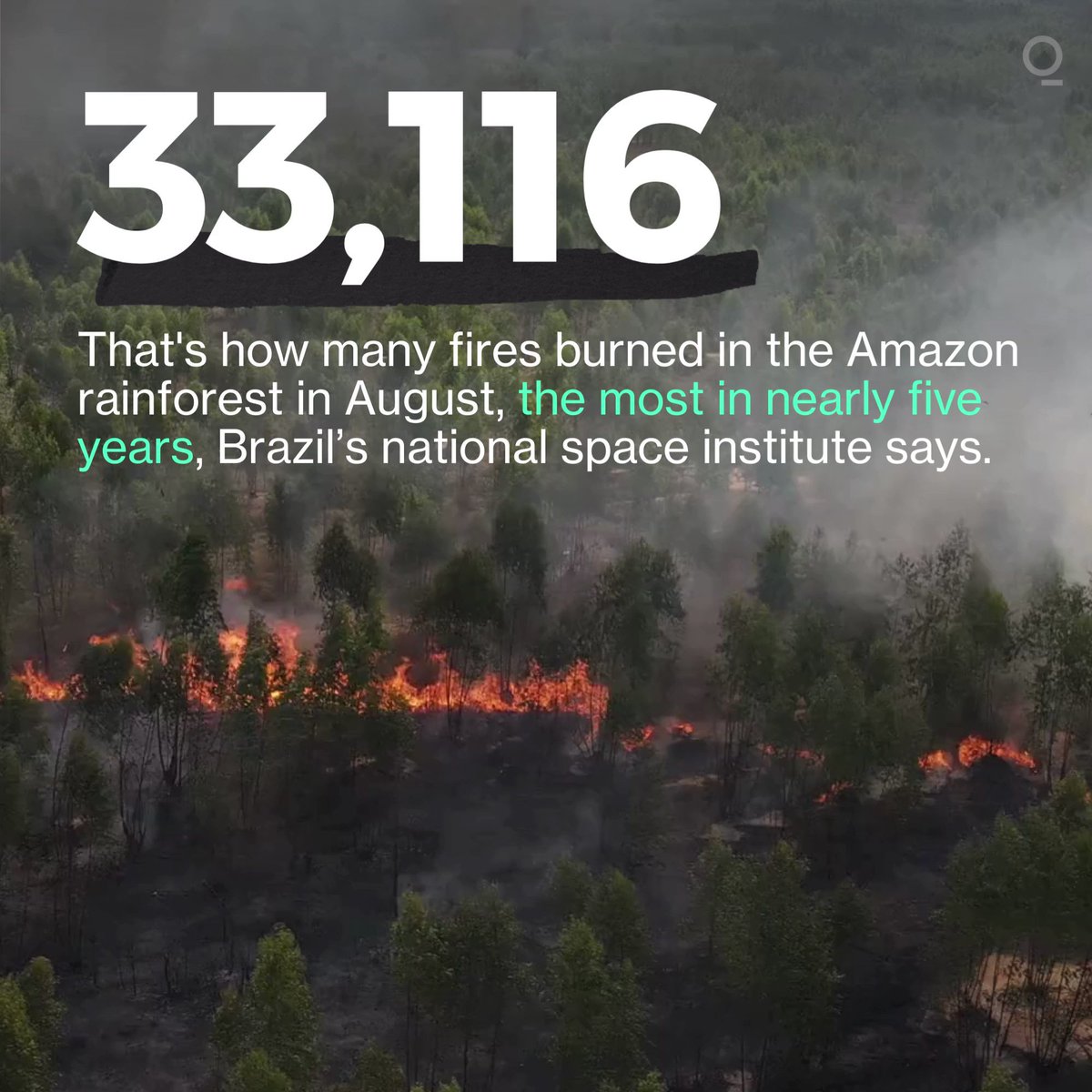 The number of fires in brazil s amazon rainforest hit a five year high