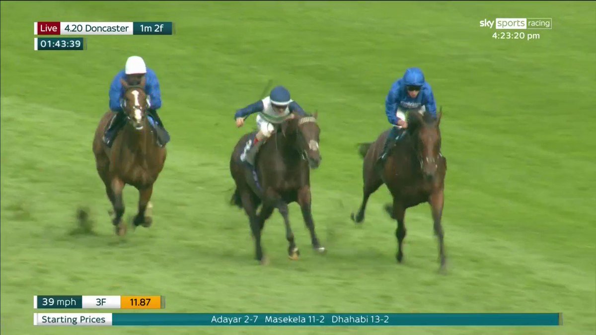 racing-tips-on-twitter-rt-ggcouk-adayar-is-back-with-a-brilliant
