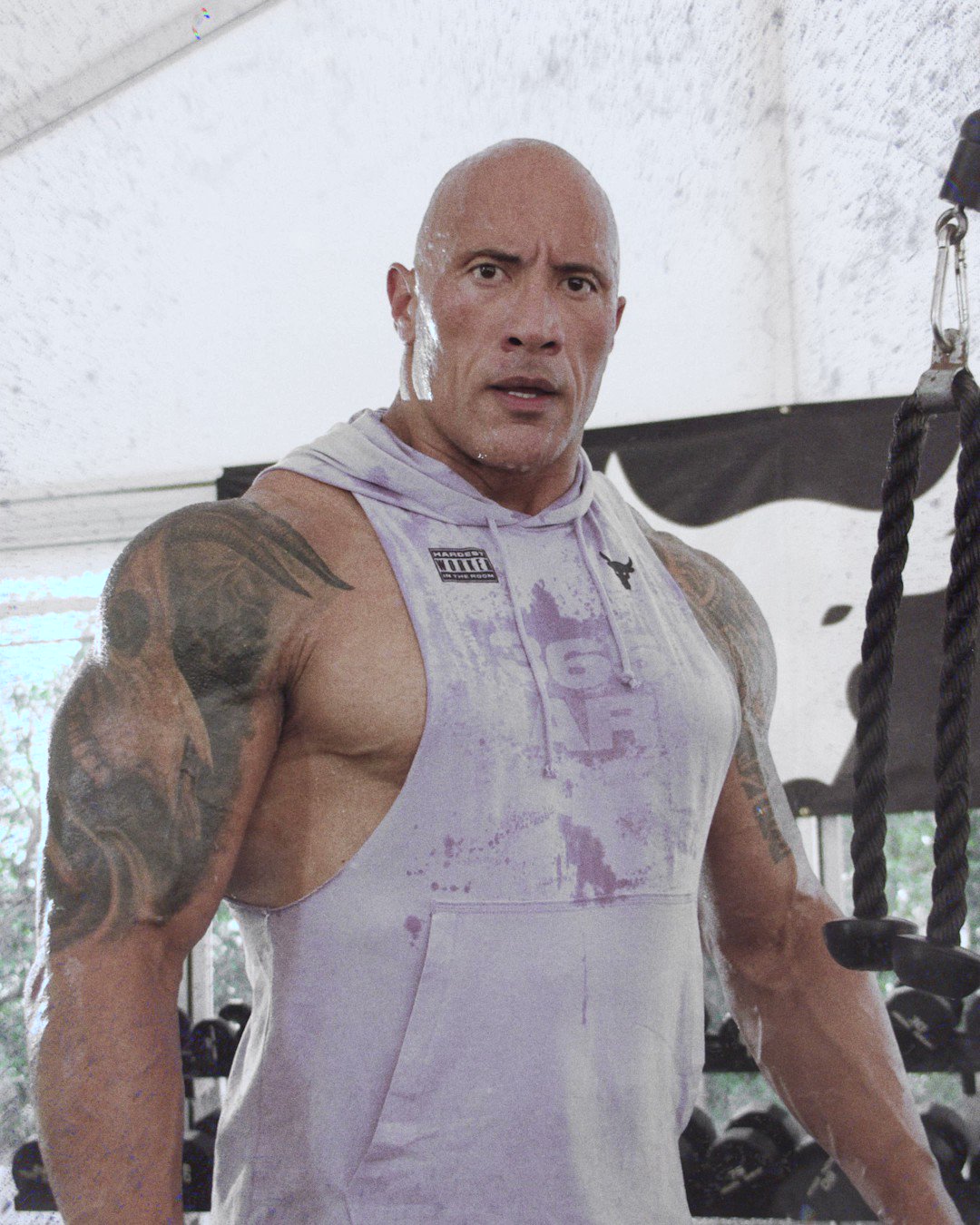 dwayne the rock johnson body