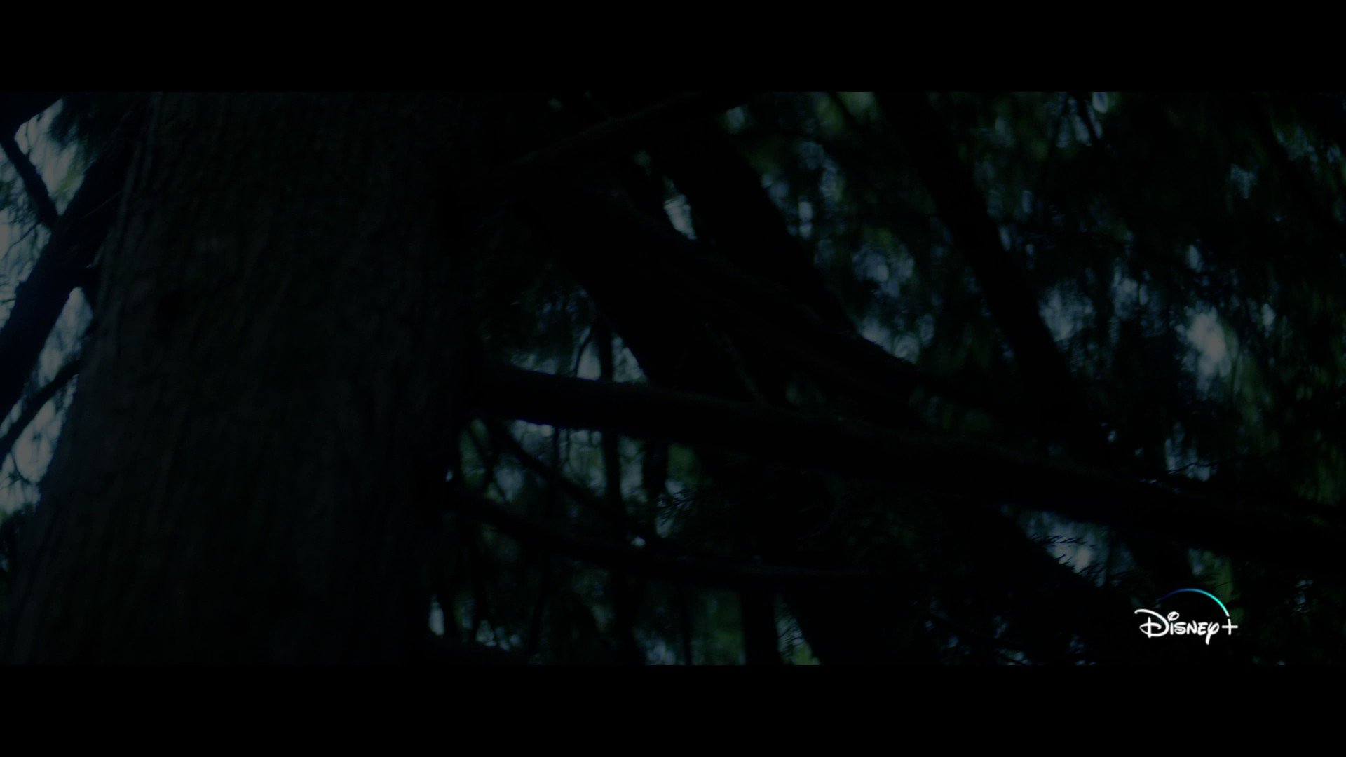 Percy Jackson on Twitter to Camp HalfBlood, demigods 🔱 PercyJackson D23Expo https