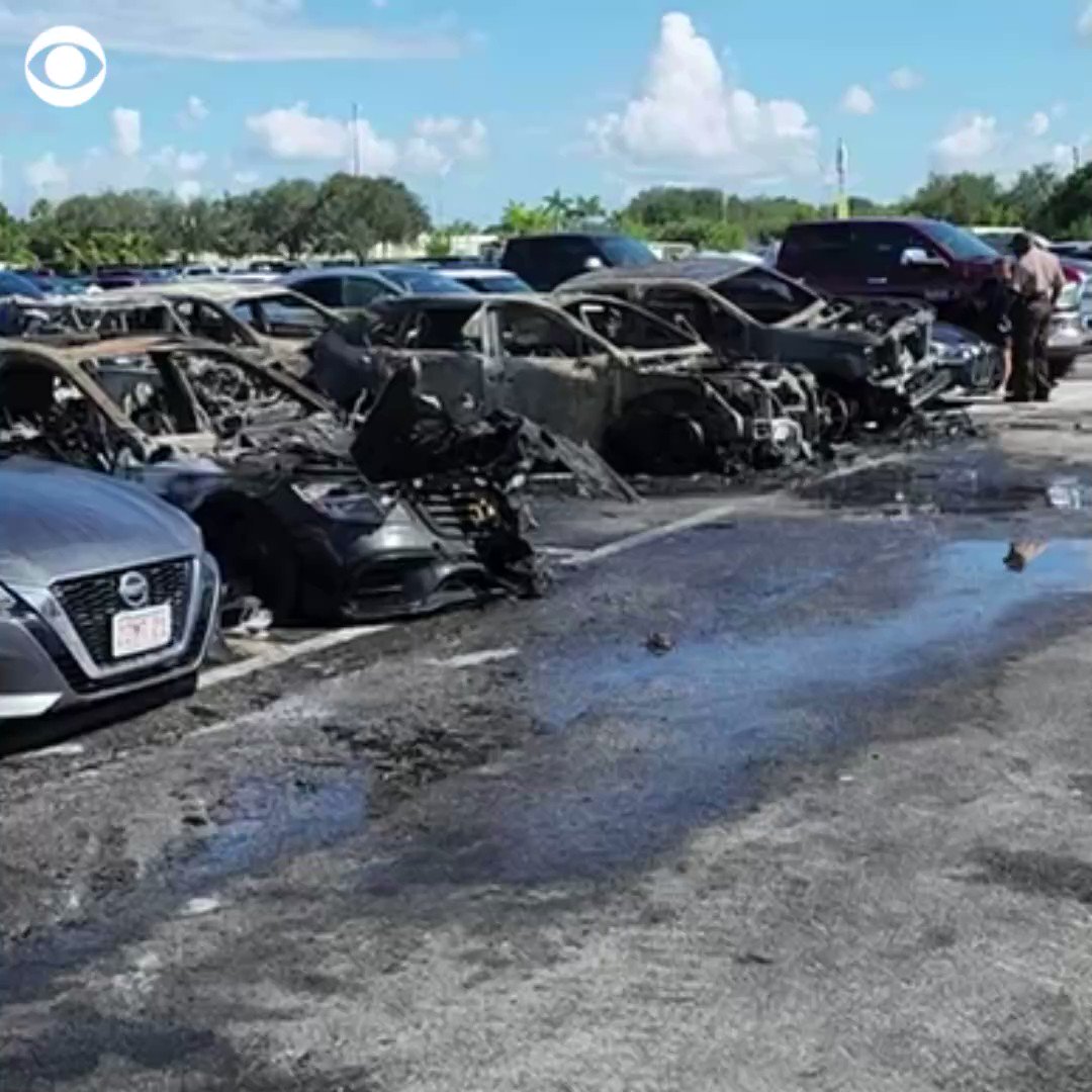 A fire broke out at a Miami Dolphins tailgate and scorched several cars