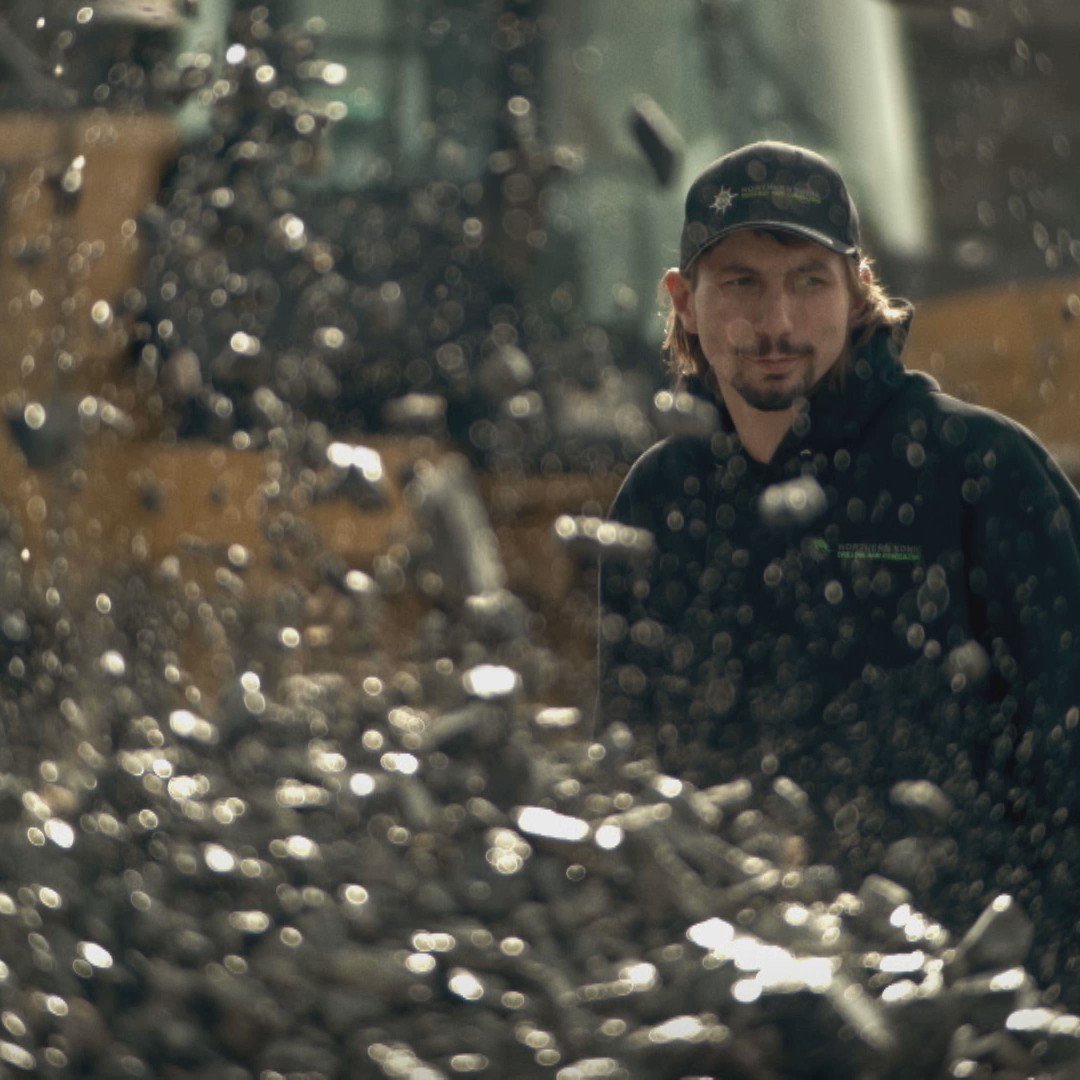 DMAX España on Twitter 