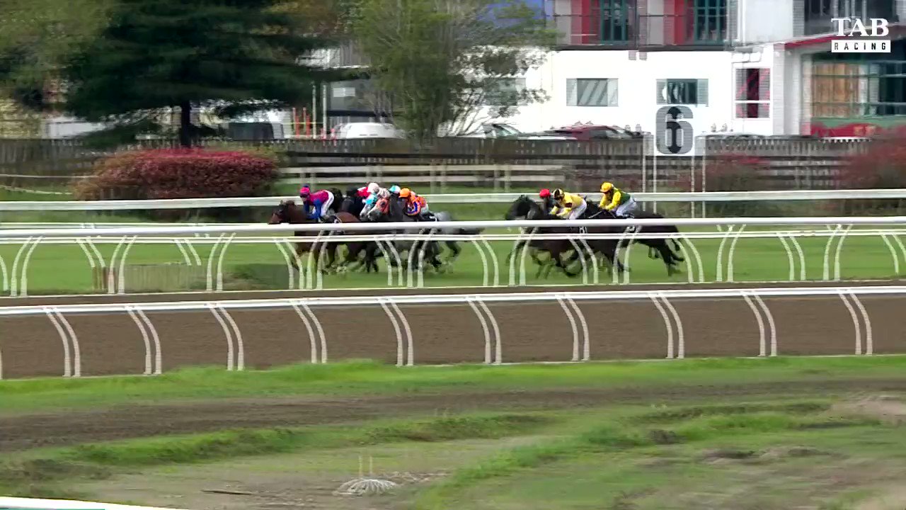 TAB Racing on Twitter "MUSTANG VALLEY burst away the last 100m and