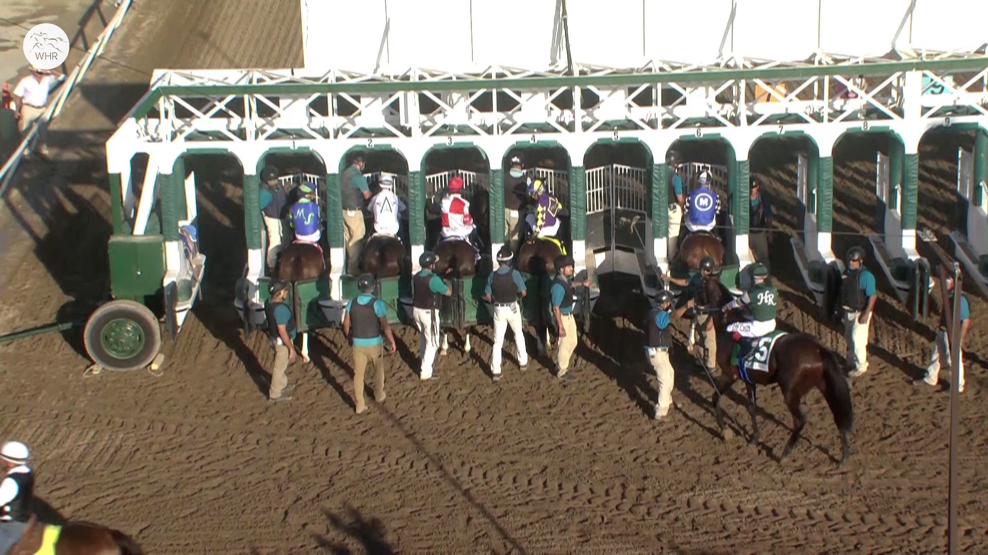 World Horse Racing On Twitter FLIGHTLINE Is Currently Ranked The Best world-horse-racing-on-twitter-flightline-is-currently-ranked-the-best