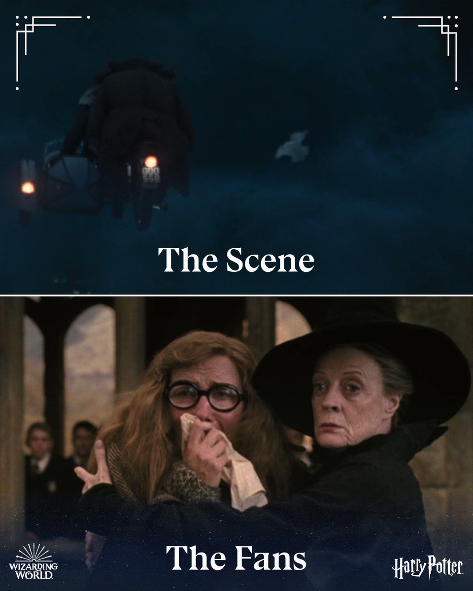Wizarding World on Twitter "Hedwig was there for Harry until the very
