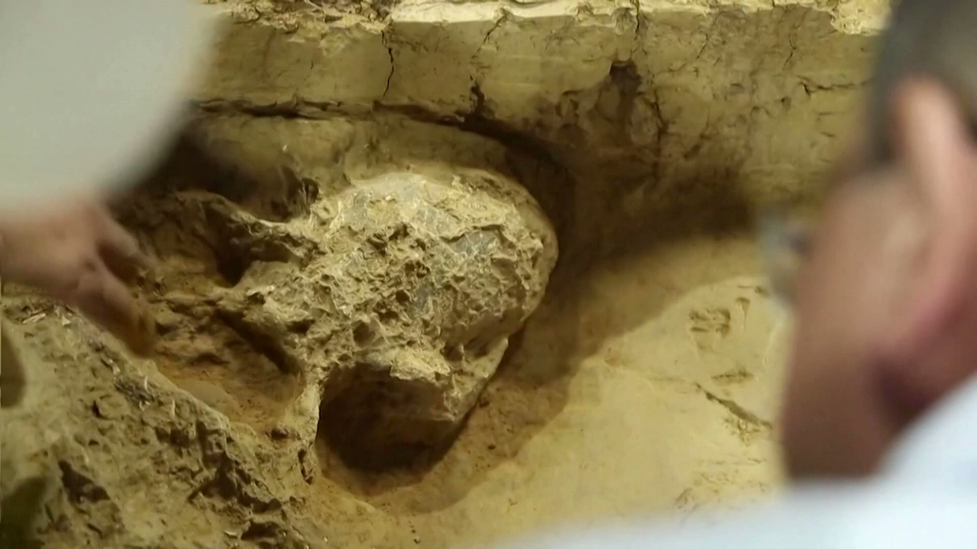 CNN On Twitter Chinese Discovered An Incredibly Well Preserved 1 Million Year L Large