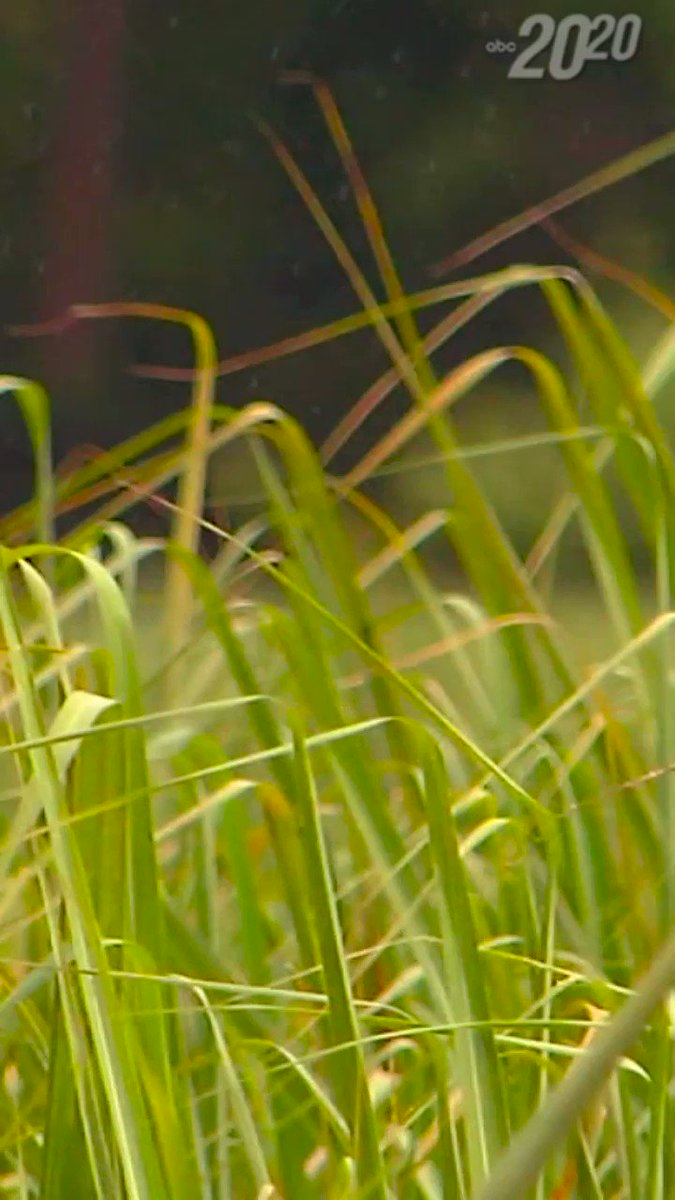 unhackme found cane unhackme found cane