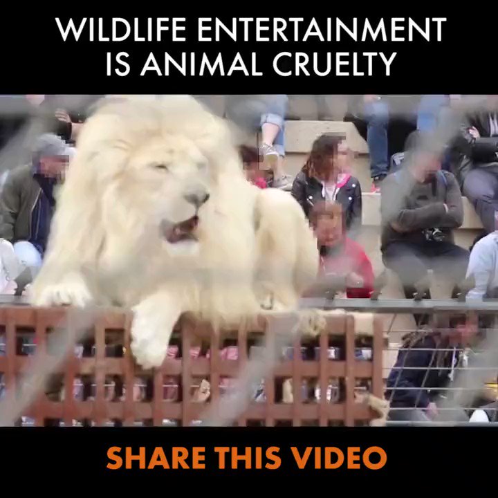 World Animal Protection US on Twitter: World Animal Protection US on Twitter: