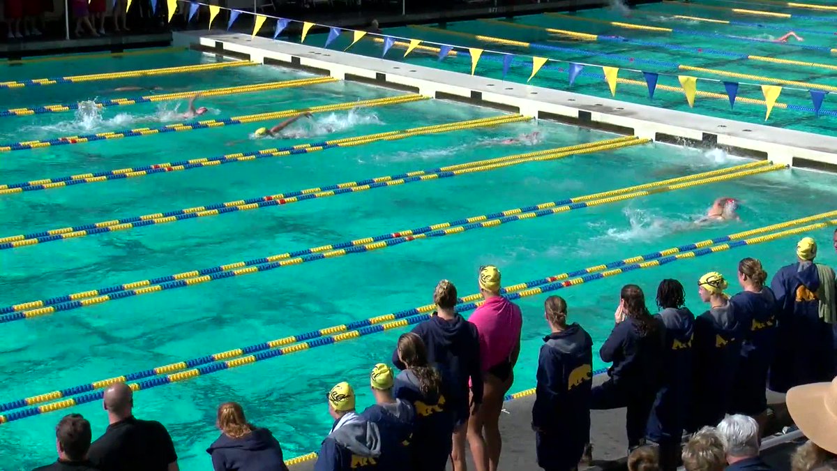 denver swim club open