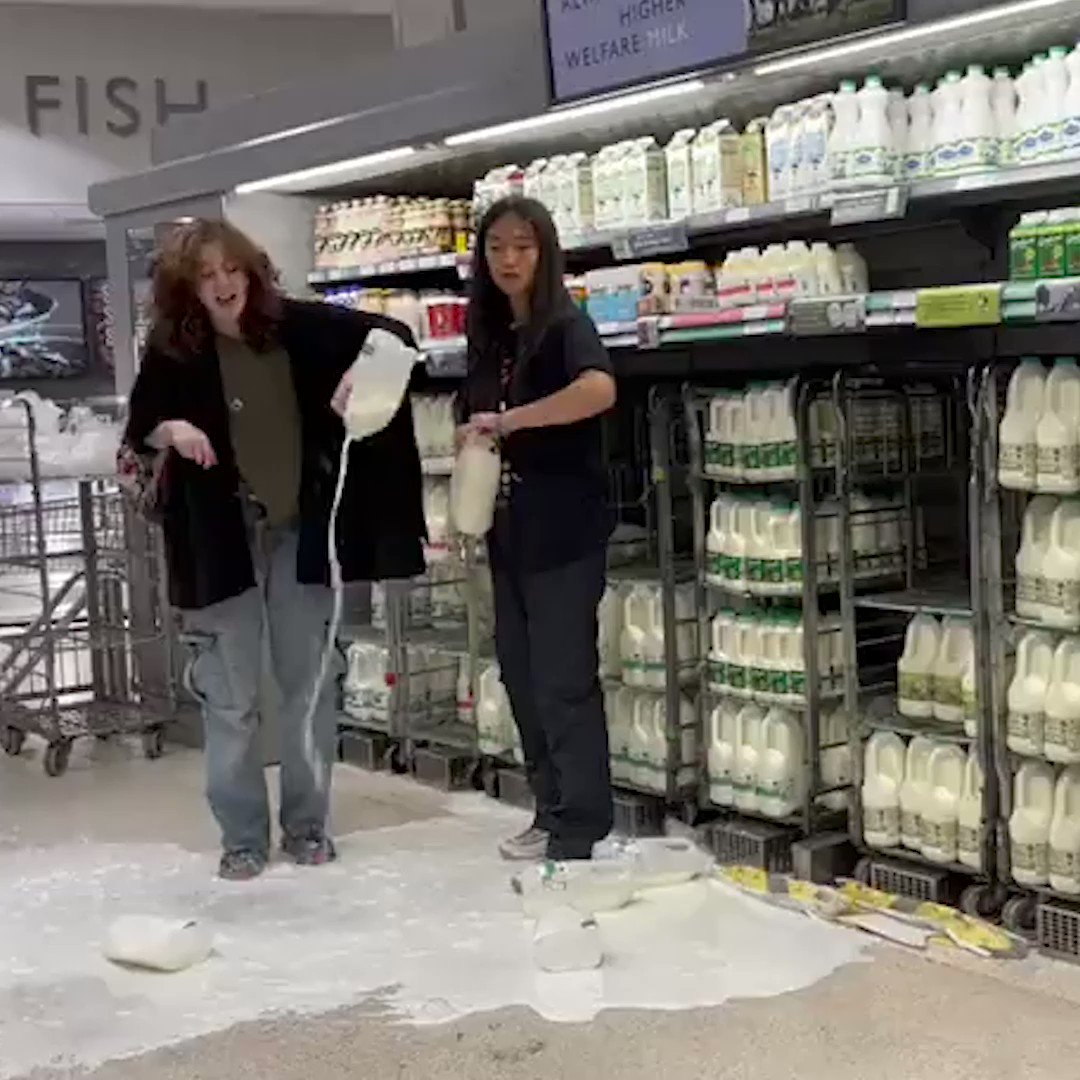 The Today Show (@TheTodayShow) / Twitter