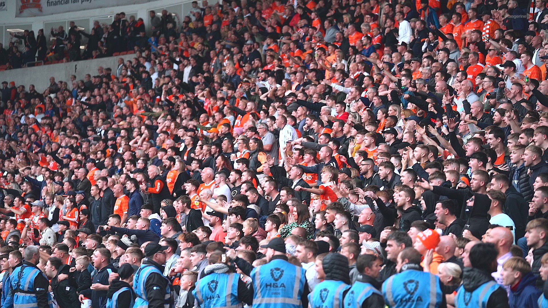 Blackpool FC - FT, Cardiff City 1 Blackpool 1 🍊 #UTMP